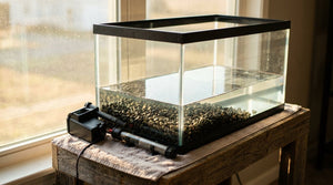 New Aquarium Setup, Step by Step Through Week One - Pets Perfect