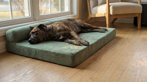 A large brindle dog lying stretched on its side on a thick rectangular foam bed with a firm low edge