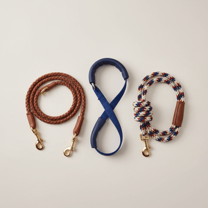 Dog Leashes - Pets Perfect