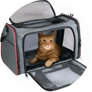 Cat Travel & Carriers - Pets Perfect