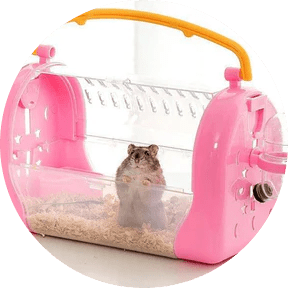 Small Pet Carriers & Travel - Pets Perfect