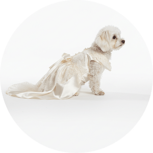 Dog Dresses - Pets Perfect