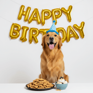 Dog Birthday & Celebration Treats - Pets Perfect