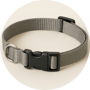 Adjustable Dog Collars - Pets Perfect