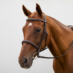 Horse bridles and reins collection including English, Western, and bitless bridle styles with leather and synthetic reins for riding and training
