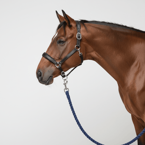 Halters & Lead Ropes - Pets Perfect