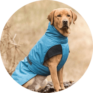 Dog Coats & Jackets - Pets Perfect