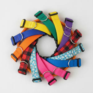 Nylon Dog Collars - Pets Perfect