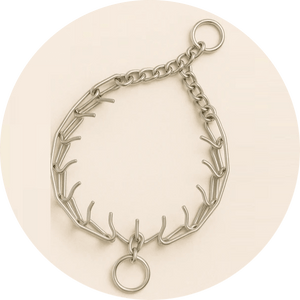 Training Dog Collars - Pets Perfect