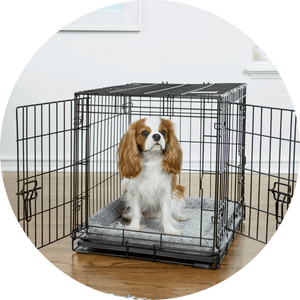 Crates, Kennels & Accessories - Pets Perfect