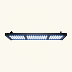 Aquarium Lighting - Pets Perfect