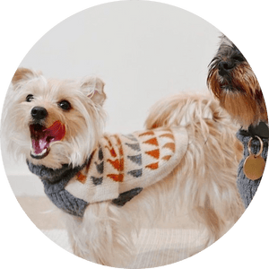 Dog Sweaters - Pets Perfect