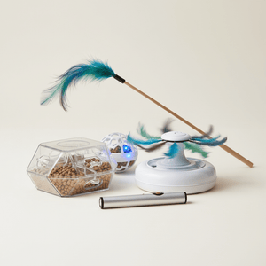 Interactive Cat Toys - Pets Perfect
