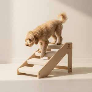 Mobility Aids & Joint Support - Pets Perfect