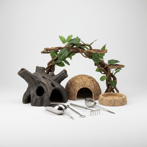 Reptile Accessories - Pets Perfect