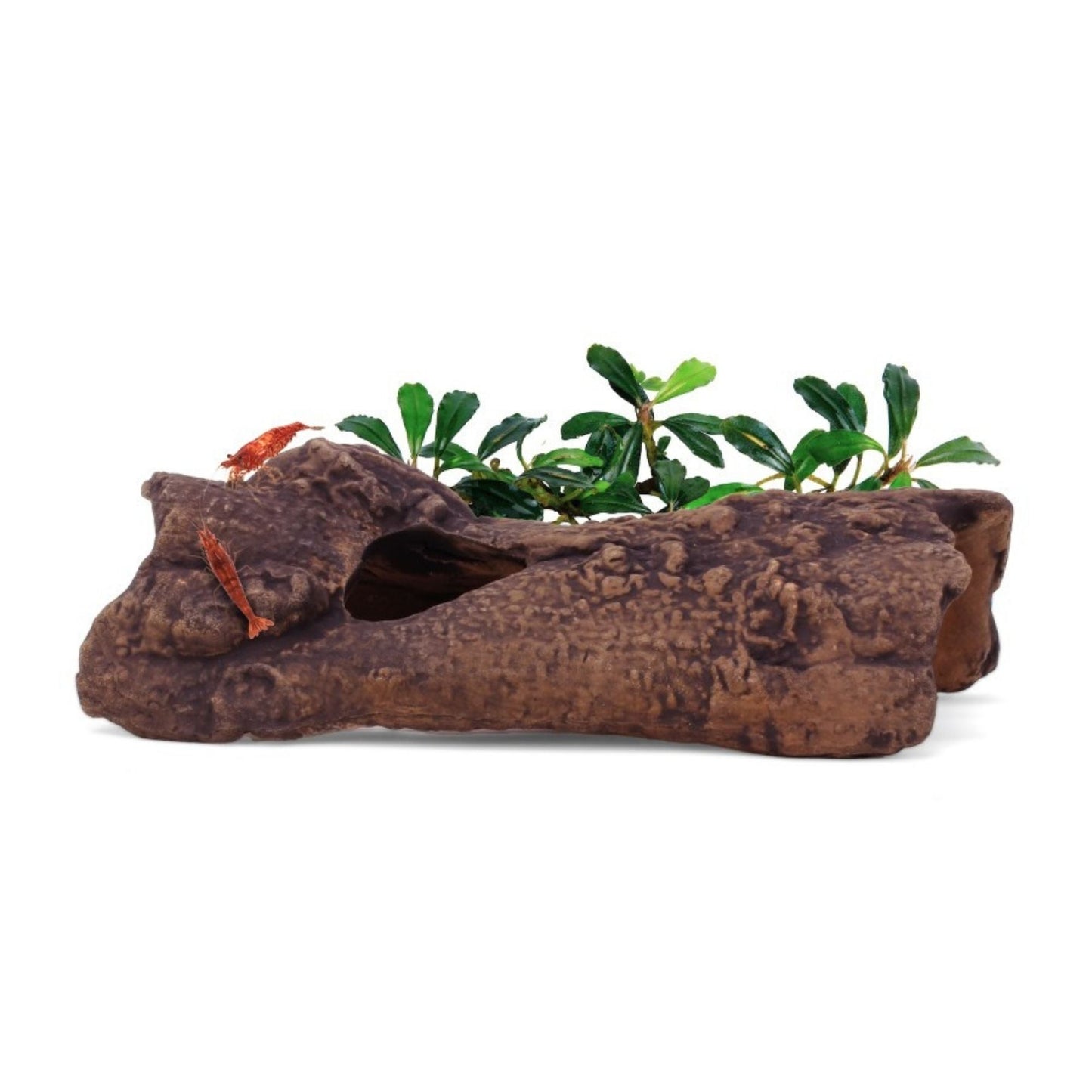 aquavitro Ceramic Hides Aquatic Ornament L1, 1ea/One Size