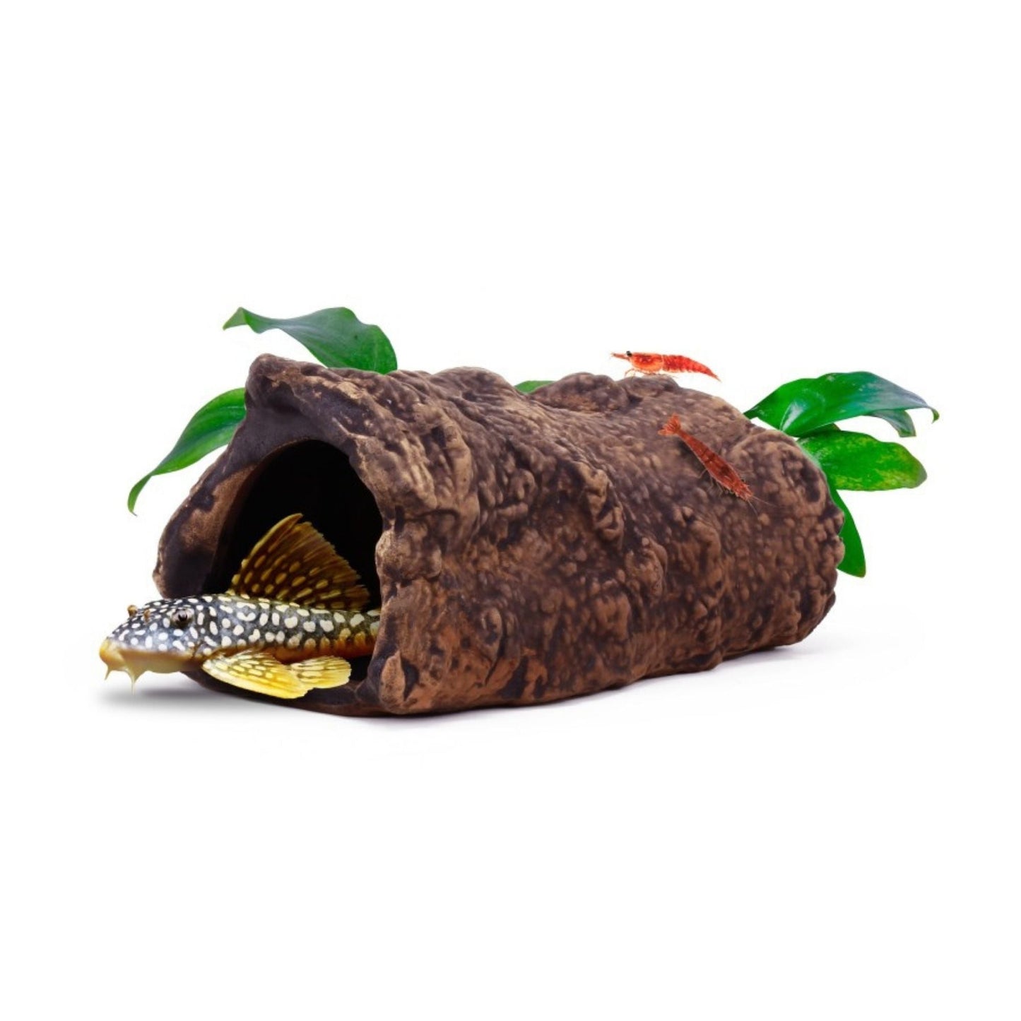 aquavitro Ceramic Hides Aquatic Ornament L3, 1ea/One Size
