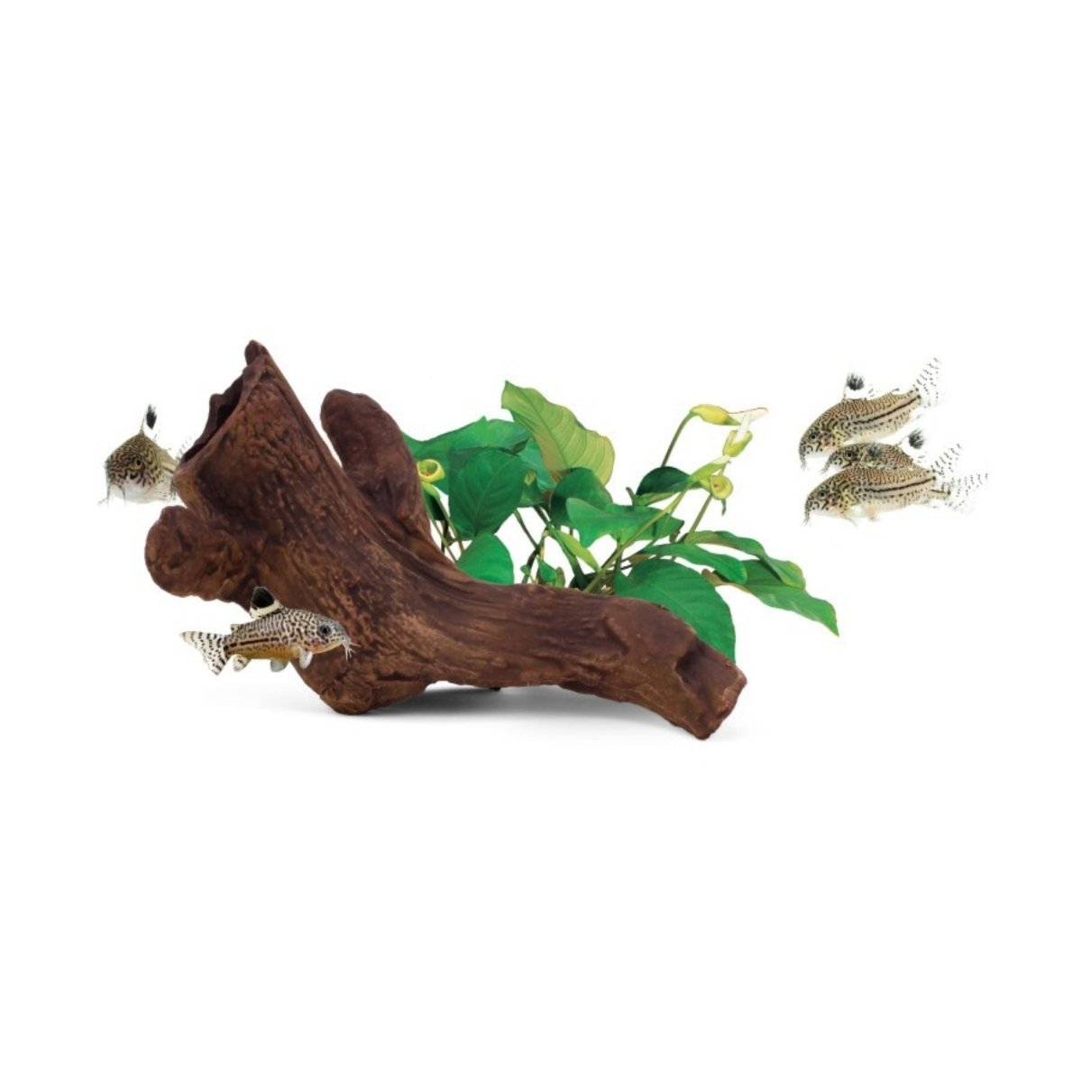 aquavitro Ceramic Hides Aquatic Ornament B2 - Pets Perfect