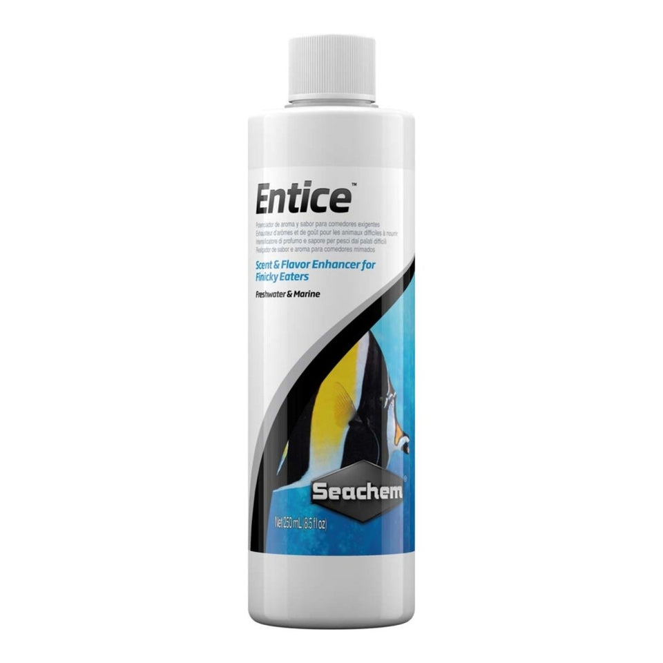 Seachem Laboratories Entice Enhancer for Marine and Freshwater Fish