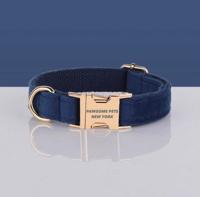 Pawsome Pets Adj. Nylon Dog Collar #28, XS