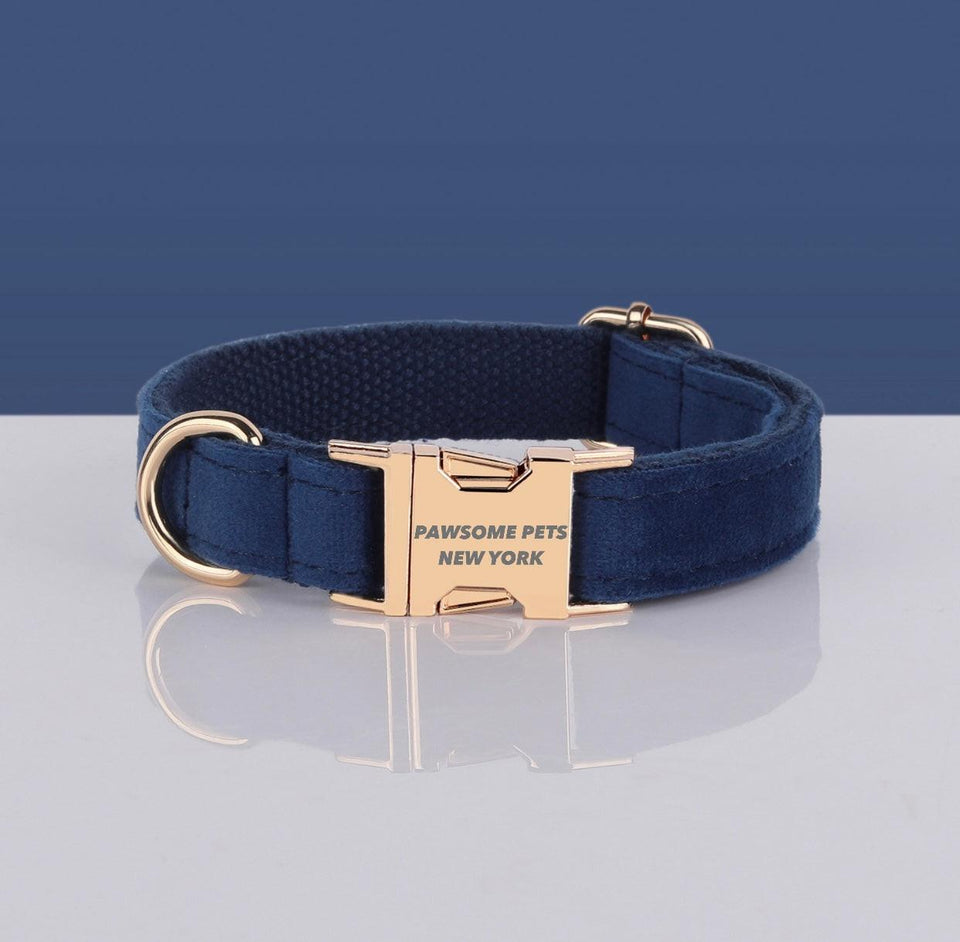 Pawsome Pets Adj. Nylon Dog Collar #28, XS