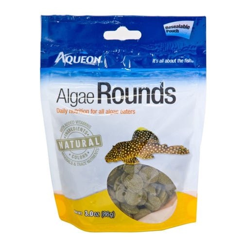 Aqueon Algae Rounds Algae Rounds, 1ea/3 oz - Pets Perfect