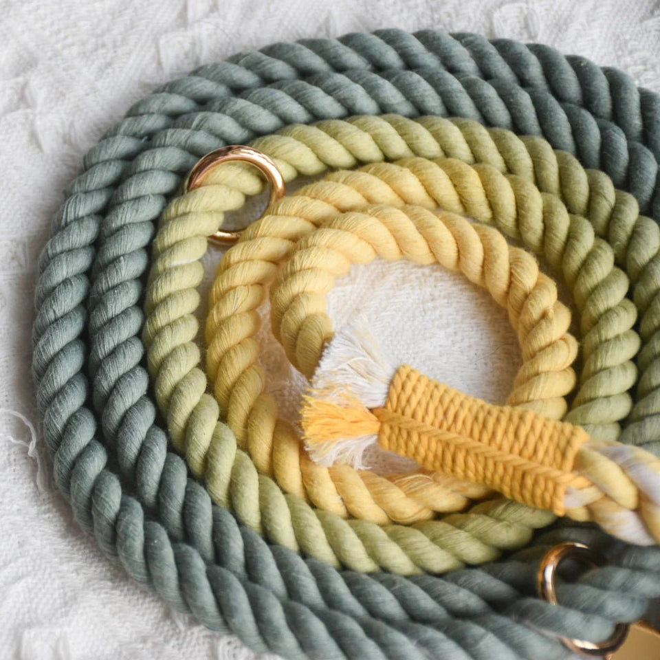 Hands-Free Dog Rope Dog Leash - Avocado, view 2