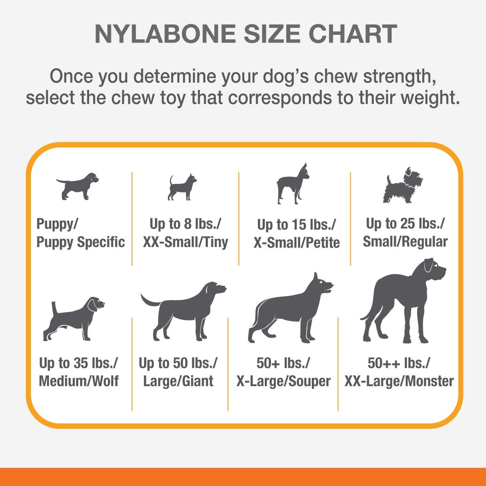 Nylabone Power Chew Femur Bone BIG Dog Chew Toy Chicken, XX-Large/Monster 50 lb. 1 ct - Pets Perfect