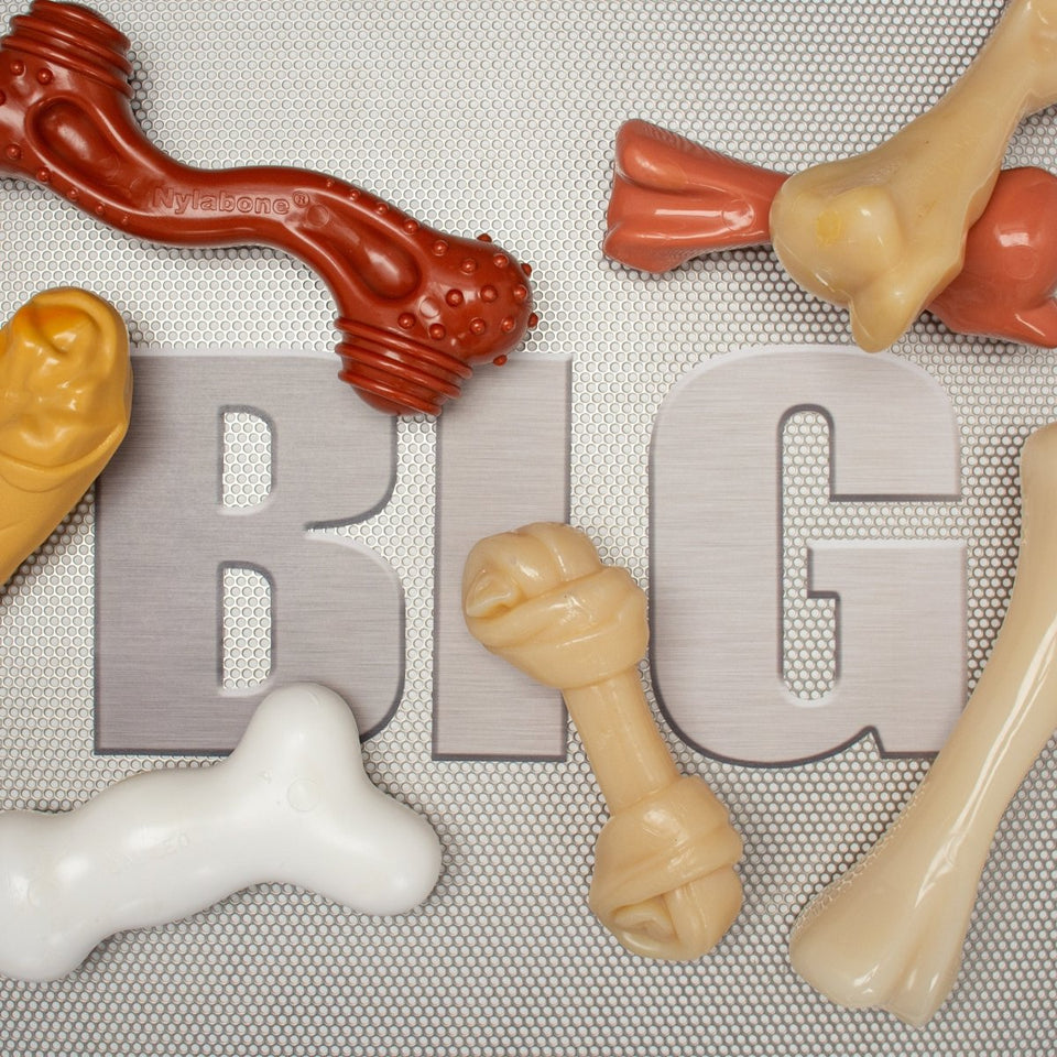 Nylabone Power Chew Femur Bone BIG Dog Chew Toy Chicken, XX-Large/Monster 50 lb. 1 ct - Pets Perfect