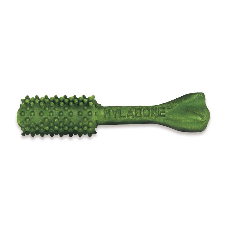 Nylabone Nutri Dent SIMPLE Natural Dental Fresh Breath Flavored Dog Chew Treats Medium, 8 ct - Pets Perfect