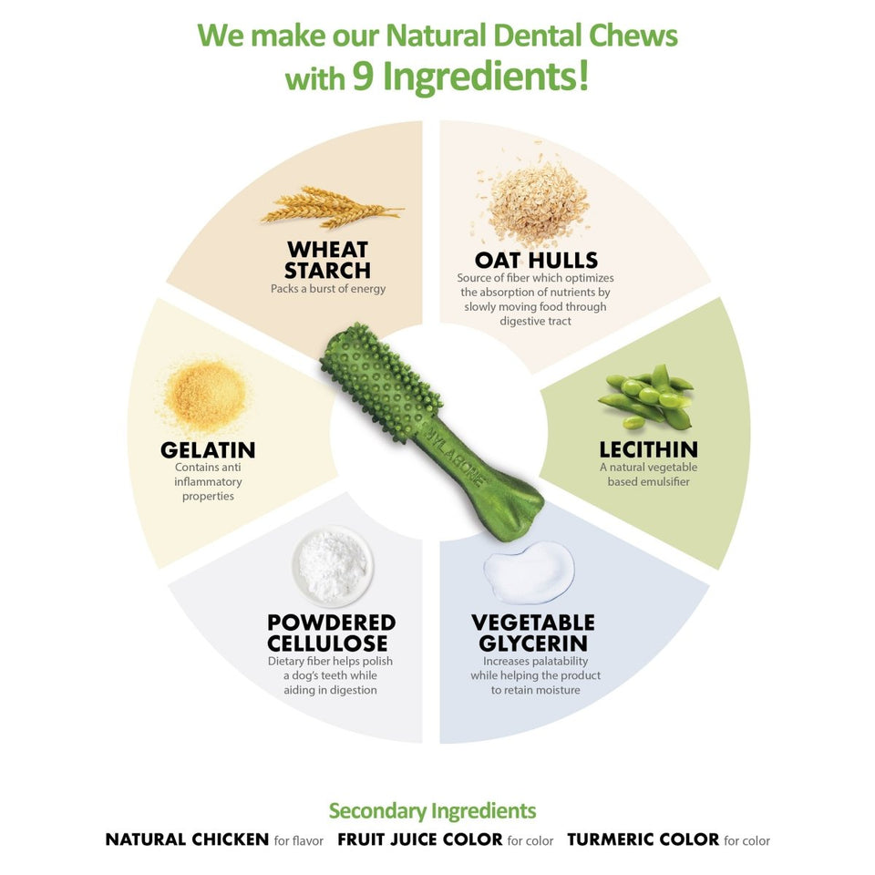 Nylabone Nutri Dent SIMPLE Natural Dental Fresh Breath Flavored Dog Chew Treats Medium, 8 ct - Pets Perfect