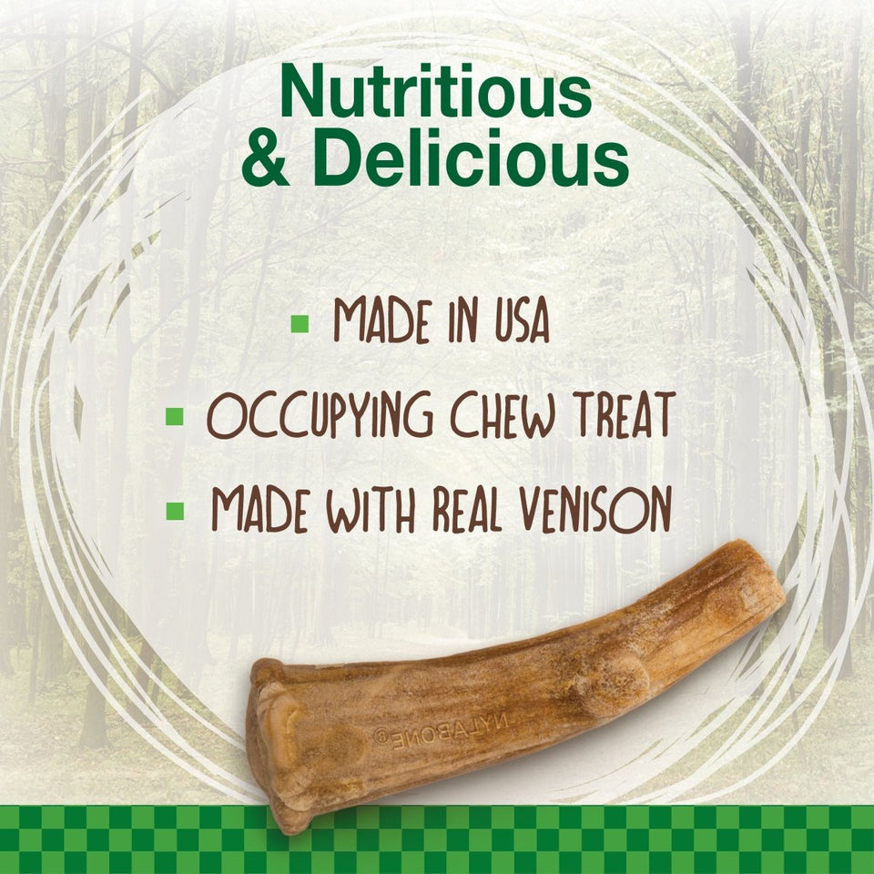 Nylabone Healthy Edibles WILD All-Natural Long-Lasting Antler Dog Chew Treats Venison, Large/Giant up to 50 lb. 10 ct - Pets Perfect