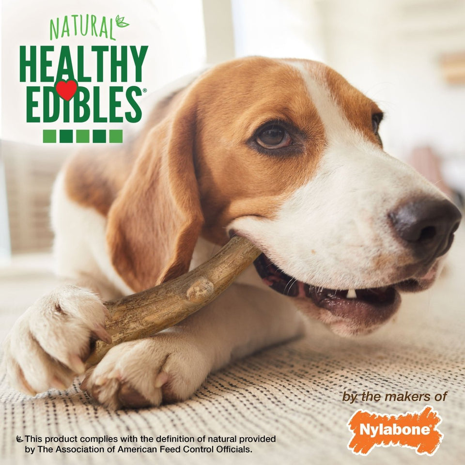 Nylabone Healthy Edibles WILD All-Natural Long-Lasting Antler Dog Chew Treats Venison, Large/Giant up to 50 lb. 10 ct - Pets Perfect