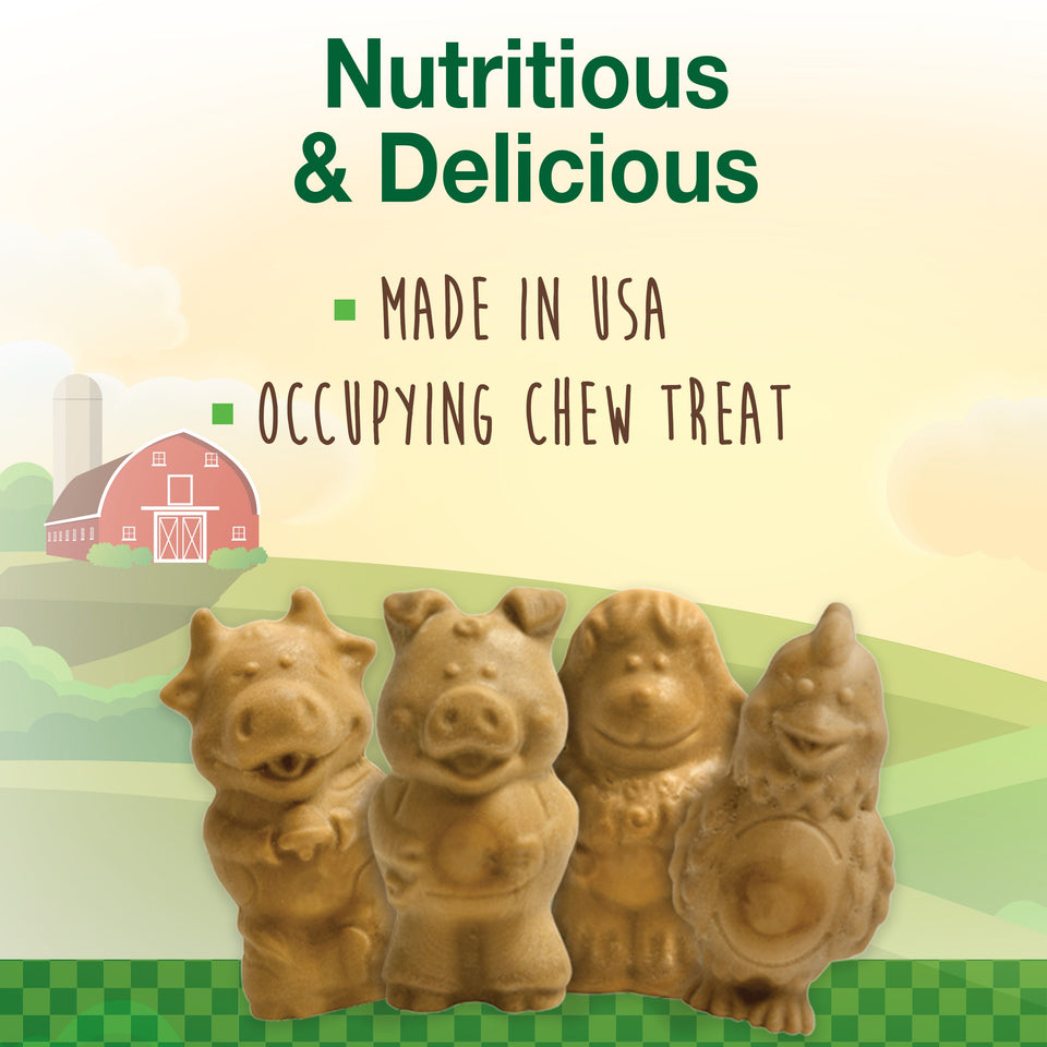 Nylabone Healthy Edibles Puppy AnimalShaped Lamb Apple Dog Chew Treats Lamb Apple, SMall/Regular Up To 25 Ibs. 4 ct