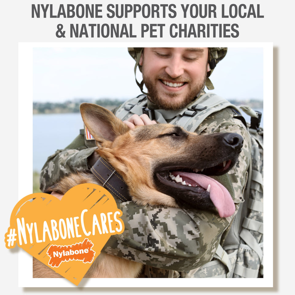Nylabone Healthy Edibles Puppy AnimalShaped Lamb Apple Dog Chew Treats Lamb Apple, SMall/Regular Up To 25 Ibs. 4 ct