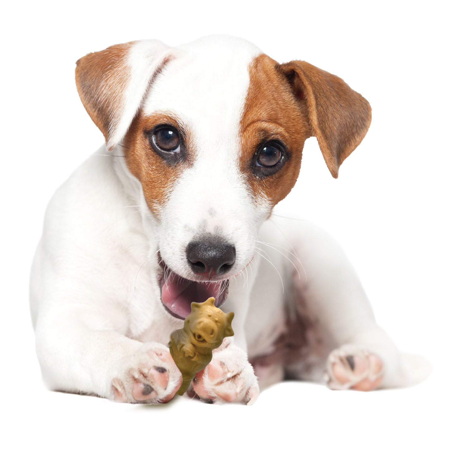 Nylabone Healthy Edibles All-Natural Long Lasting Puppy Dog Chew, view 10
