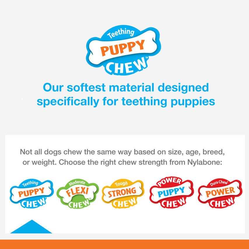 Nylabone Just for Puppies Double Action Bone Puppy Dog Teething Chew Dog Toy Peanut Butter Banana, Medium/Wolf up to 35 lb 1 ct - Pets Perfect
