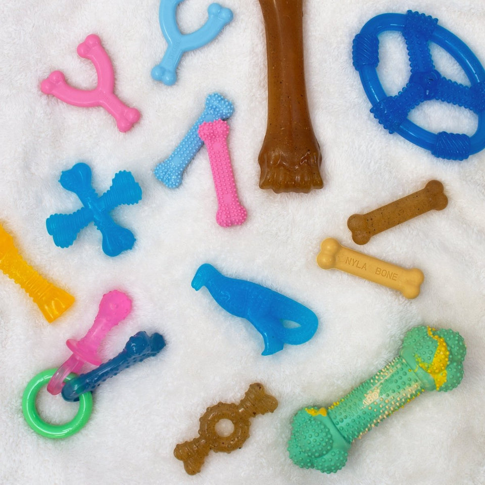 Nylabone Just for Puppies Double Action Bone Puppy Dog Teething Chew Dog Toy Peanut Butter Banana, Medium/Wolf up to 35 lb 1 ct - Pets Perfect