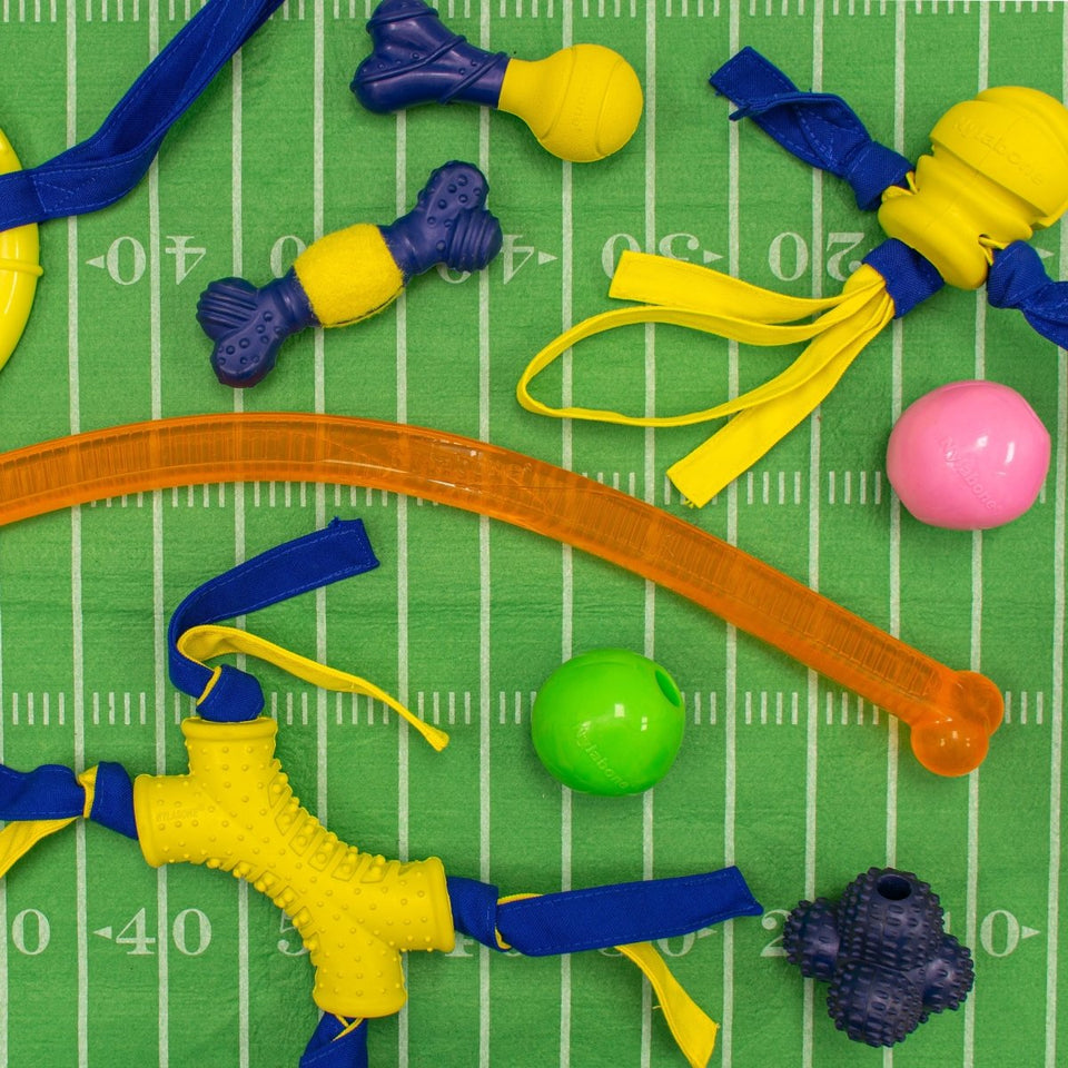 Nylabone Power Play Fling-a-Bounce Interactive Dog Toy Medium/Wolf, up to 35 lb - Pets Perfect