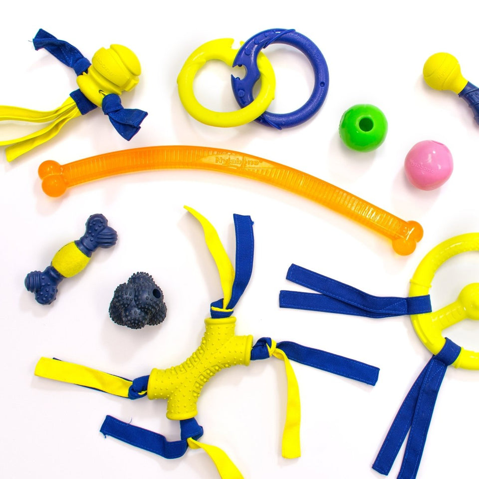 Nylabone Power Play Fling-a-Bounce Interactive Dog Toy Medium/Wolf, up to 35 lb - Pets Perfect