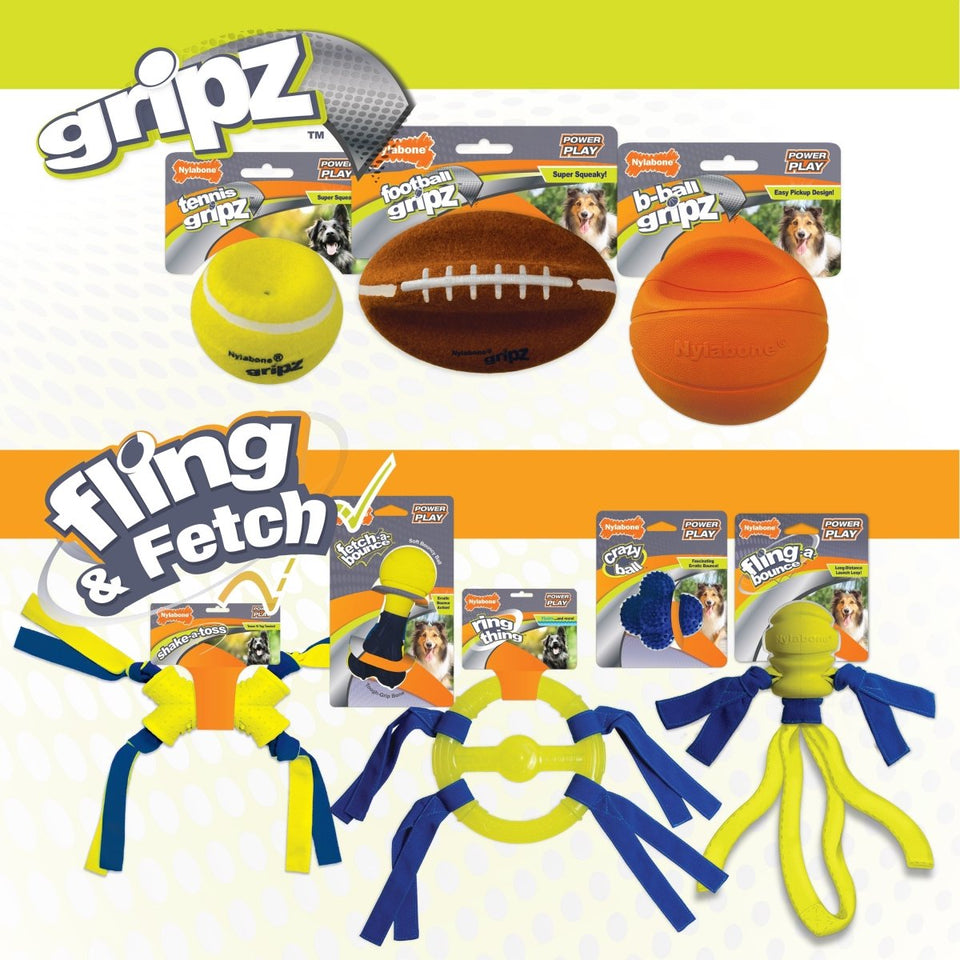 Nylabone Power Play Fling-a-Bounce Interactive Dog Toy Medium/Wolf, up to 35 lb - Pets Perfect