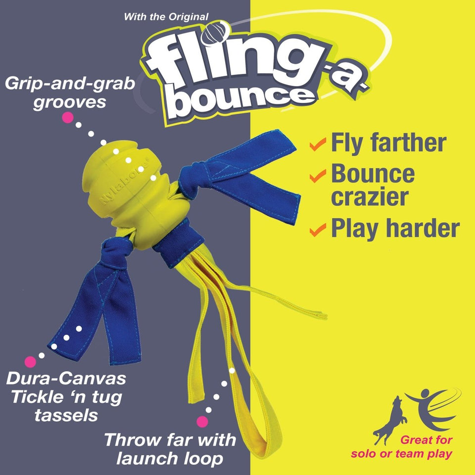 Nylabone Power Play Fling-a-Bounce Interactive Dog Toy Medium/Wolf, up to 35 lb - Pets Perfect
