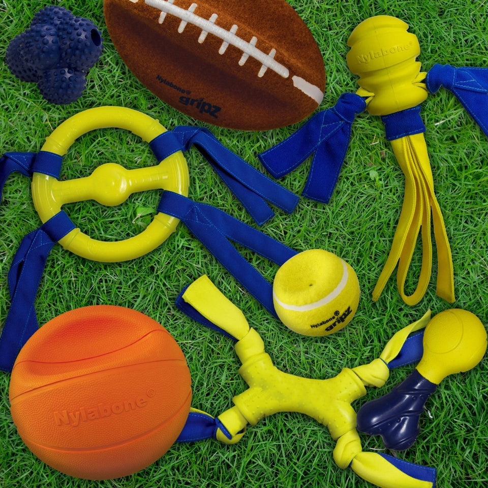 Nylabone Power Play Fling-a-Bounce Interactive Dog Toy Medium/Wolf, up to 35 lb - Pets Perfect