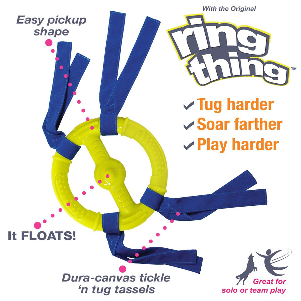 Nylabone Power Play Ring Thing Floatable Dog Toy Medium/Wolf up to 35 lb. 1 ct - Pets Perfect