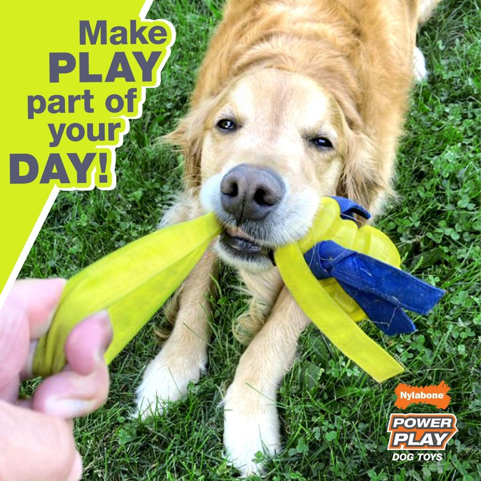 Nylabone Power Play Ring Thing Floatable Dog Toy Medium/Wolf up to 35 lb. 1 ct - Pets Perfect