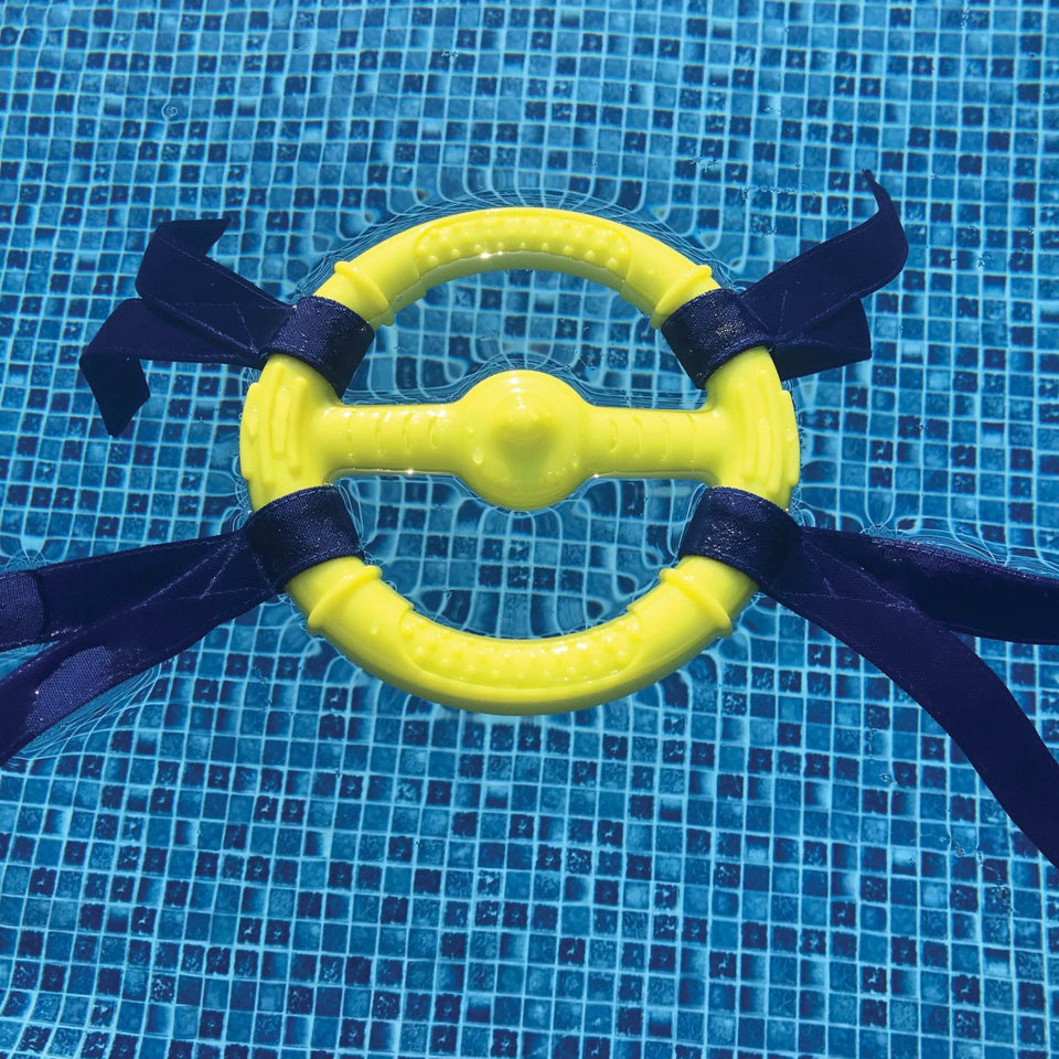 Nylabone Power Play Ring Thing Floatable Dog Toy Medium/Wolf up to 35 lb. 1 ct - Pets Perfect