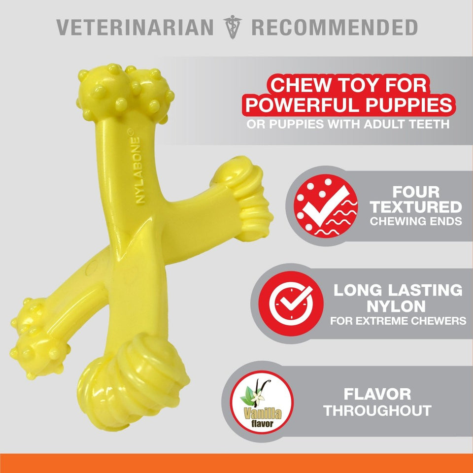 Nylabone Puppy Power Chew Axis Bone Nylon Chew Dog Toy Vanilla, Small/Regular up to 25 lb. 1 ct - Pets Perfect