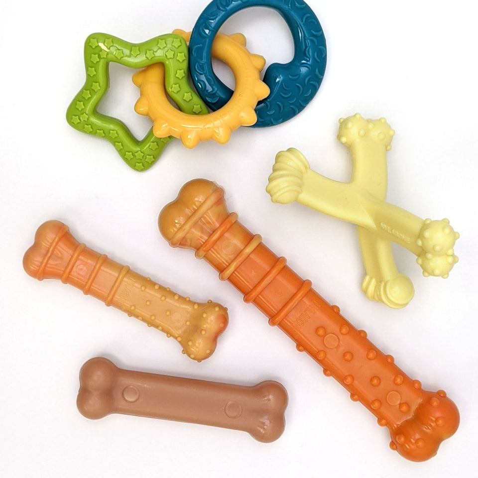 Nylabone Puppy Power Chew Axis Bone Nylon Chew Dog Toy Vanilla, Small/Regular up to 25 lb. 1 ct - Pets Perfect