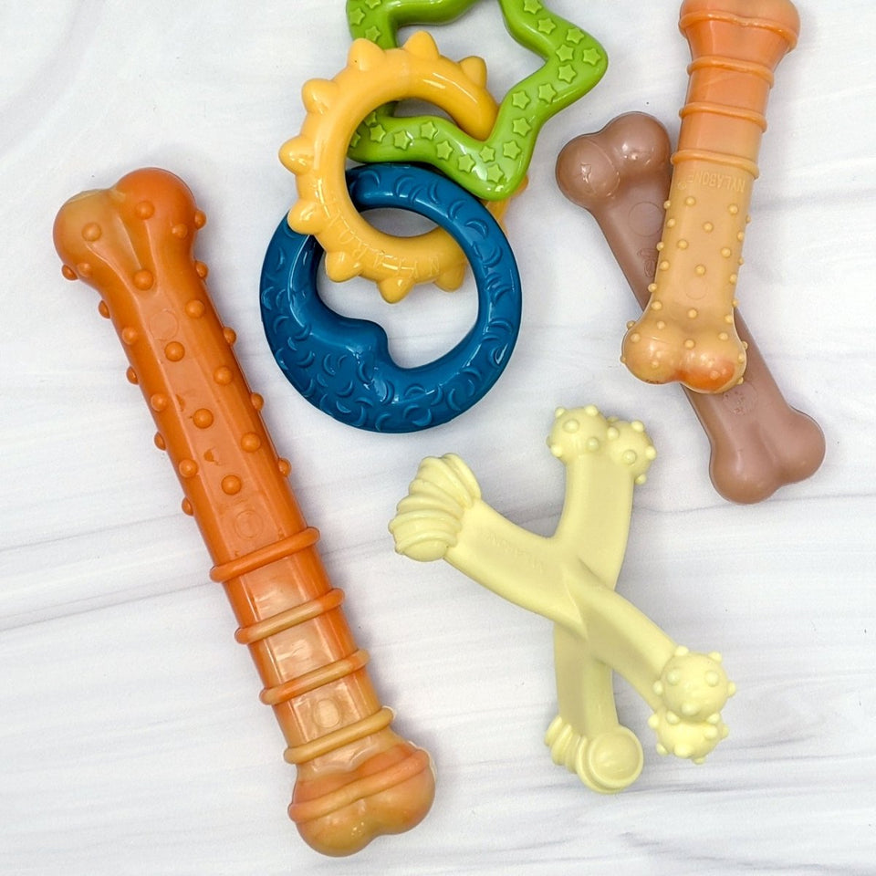 Nylabone Puppy Power Chew Axis Bone Nylon Chew Dog Toy Vanilla, Small/Regular up to 25 lb. 1 ct - Pets Perfect
