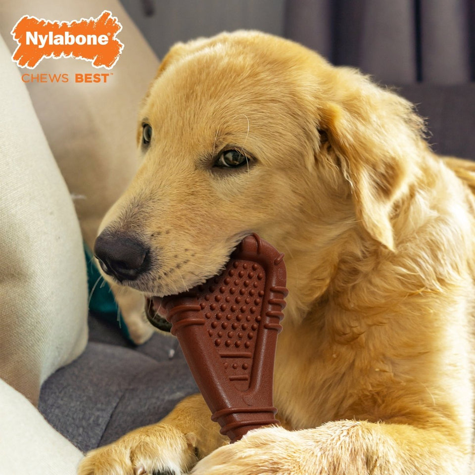 Nylabone Power Chew Arch Bone Dog Dental Chew Dog Toy Large/Giant up to 50 lb. 1 ct - Pets Perfect